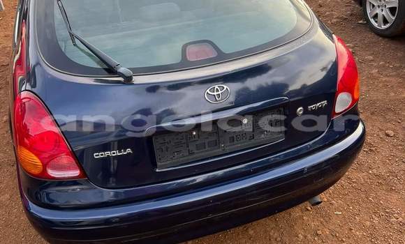 Comprar Usado Toyota Corolla Outro Carro em Luanda em Luanda Province Comprar Usado Toyota Corolla Outro Carro em Luanda em Luanda Province