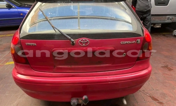 Comprar Usado Toyota Corolla Outro Carro em Luanda em Luanda Province Comprar Usado Toyota Corolla Outro Carro em Luanda em Luanda Province