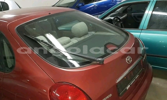 Comprar Usado Toyota Corolla Outro Carro em Luanda em Luanda Province Comprar Usado Toyota Corolla Outro Carro em Luanda em Luanda Province