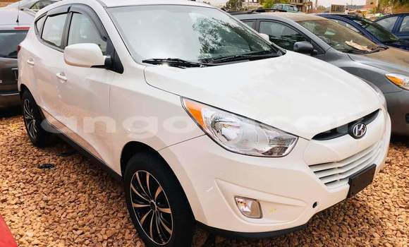 Buy Used Hyundai Tucson White Car in Luanda in Luanda Province Buy Used Hyundai Tucson White Car in Luanda in Luanda Province