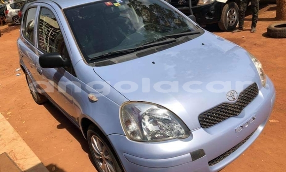 Buy Used Toyota Vitz Other Car in Luanda in Luanda Province
