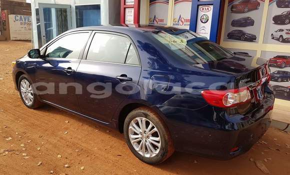 Buy Used Toyota Yaris Blue Car in Luanda in Luanda Province Buy Used Toyota Yaris Blue Car in Luanda in Luanda Province