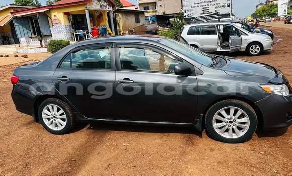 Comprar Usado Toyota Corolla Outro Carro em Luanda em Luanda Province Comprar Usado Toyota Corolla Outro Carro em Luanda em Luanda Province