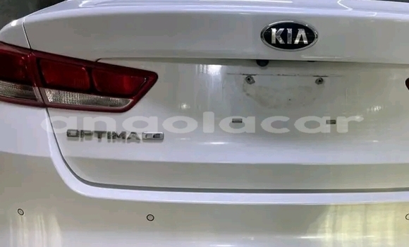 Buy Used Kia Optima White Car in Luanda in Luanda Province Buy Used Kia Optima White Car in Luanda in Luanda Province