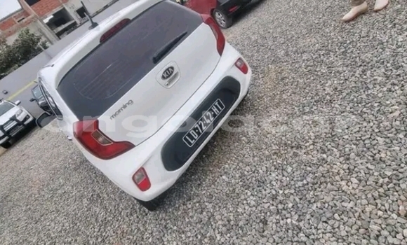 Buy Used Kia Morning White Car in Luanda in Luanda Province Buy Used Kia Morning White Car in Luanda in Luanda Province