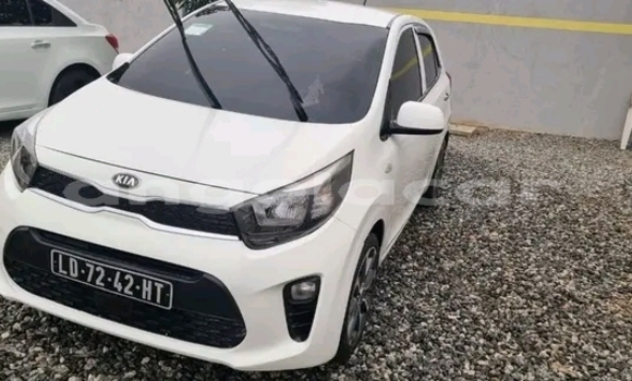 Buy Used Kia Morning White Car in Luanda in Luanda Province Buy Used Kia Morning White Car in Luanda in Luanda Province