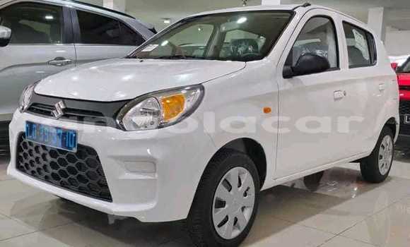 Buy Used Suzuki Alto White Car in Luena in Moxico