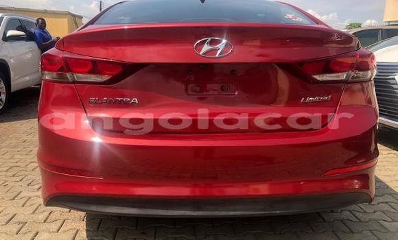 Buy Used Hyundai Elantra Red Car in Luena in Moxico Buy Used Hyundai Elantra Red Car in Luena in Moxico