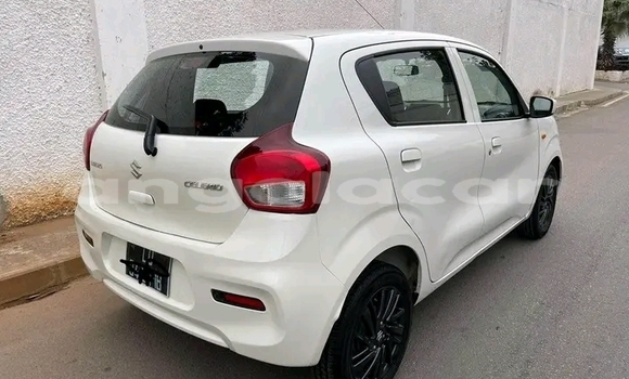 Buy Used Suzuki Celerio White Car in Luanda in Luanda Province Buy Used Suzuki Celerio White Car in Luanda in Luanda Province