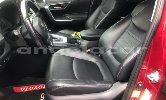 Comprar Usado Toyota RAV4 Vermelho Carro em Luena em Moxico Comprar Usado Toyota RAV4 Vermelho Carro em Luena em Moxico