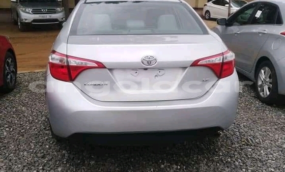 Buy Used Toyota Corolla Other Car in Lobito in Benguela Buy Used Toyota Corolla Other Car in Lobito in Benguela