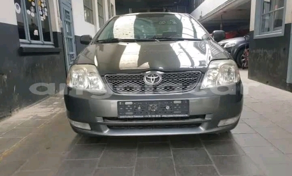 Comprar Usado Toyota Corolla Outro Carro em Lobito em Benguela Comprar Usado Toyota Corolla Outro Carro em Lobito em Benguela