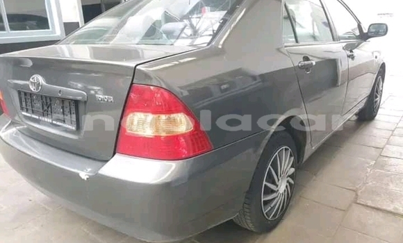 Comprar Usado Toyota Corolla Outro Carro em Lobito em Benguela Comprar Usado Toyota Corolla Outro Carro em Lobito em Benguela