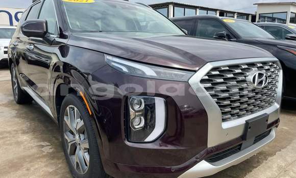 Comprar Usado Hyundai Pony Marrom Carro em Luanda em Luanda Province