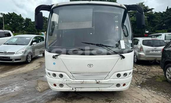 Buy Used Toyota Coaster Other Car in Luanda in Luanda Province Buy Used Toyota Coaster Other Car in Luanda in Luanda Province