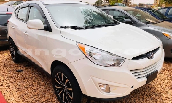 Buy Used Hyundai Tucson White Car in Luanda in Luanda Province Buy Used Hyundai Tucson White Car in Luanda in Luanda Province