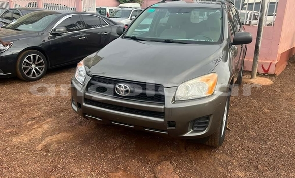 Buy Used Toyota RAV4 Other Car in Luanda in Luanda Province