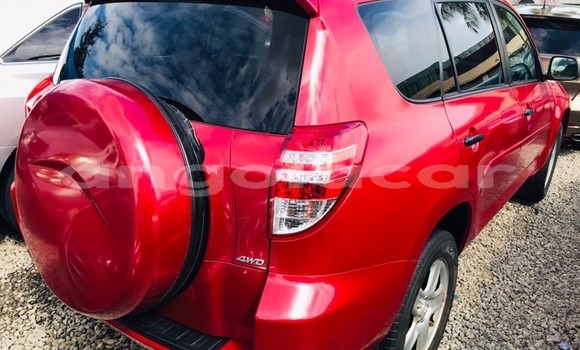 Buy Used Toyota RAV4 Red Car in Luanda in Luanda Province Buy Used Toyota RAV4 Red Car in Luanda in Luanda Province