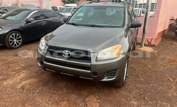Buy Used Toyota RAV4 Brown Car in Luanda in Luanda Province Buy Used Toyota RAV4 Brown Car in Luanda in Luanda Province