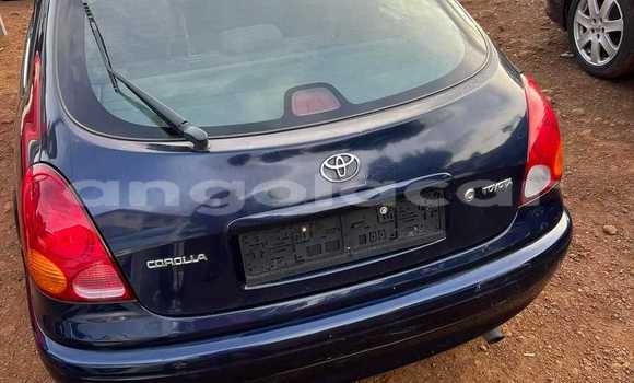 Buy Used Toyota Corolla Blue Car in Luanda in Luanda Province Buy Used Toyota Corolla Blue Car in Luanda in Luanda Province