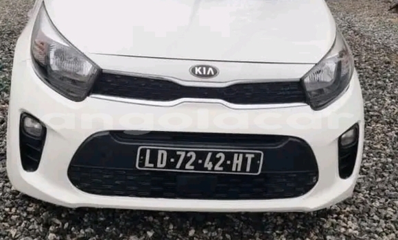 Buy Used Kia Morning White Car in Luanda in Luanda Province