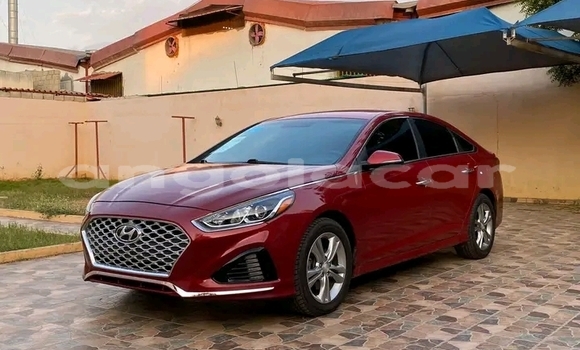 Buy Used Hyundai Sonata Red Car in Luanda in Luanda Province Buy Used Hyundai Sonata Red Car in Luanda in Luanda Province