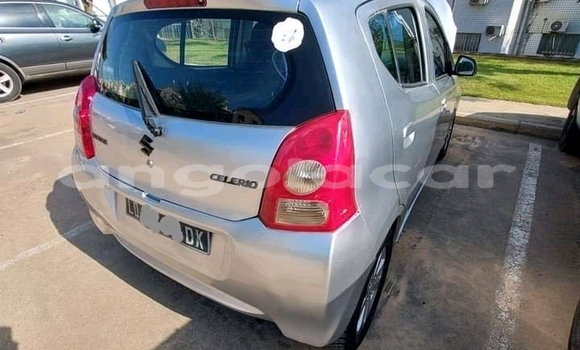 Buy Used Suzuki Celerio Silver Car in Luanda in Luanda Province Buy Used Suzuki Celerio Silver Car in Luanda in Luanda Province