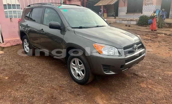 Buy Used Toyota RAV4 Brown Car in Luanda in Luanda Province Buy Used Toyota RAV4 Brown Car in Luanda in Luanda Province