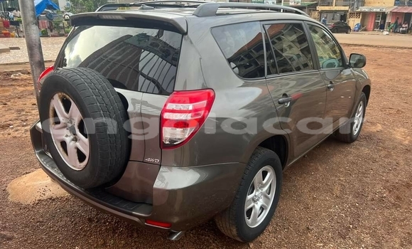 Buy Used Toyota RAV4 Brown Car in Luanda in Luanda Province Buy Used Toyota RAV4 Brown Car in Luanda in Luanda Province