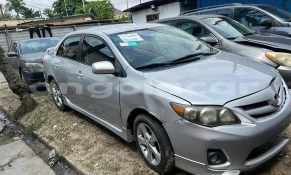 Buy Used Toyota Corolla Other Car in Luanda in Luanda Province Buy Used Toyota Corolla Other Car in Luanda in Luanda Province
