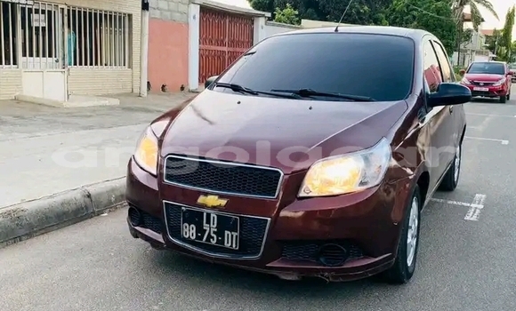 Buy Used Chevrolet Aveo Black Car in Luanda in Luanda Province Buy Used Chevrolet Aveo Black Car in Luanda in Luanda Province
