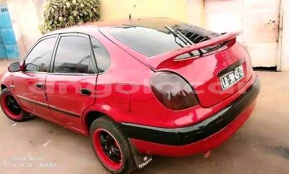 Comprar Usado Toyota Corolla Vermelho Carro em Caluquembe em Huila Comprar Usado Toyota Corolla Vermelho Carro em Caluquembe em Huila