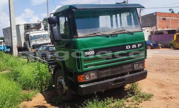 Comprar Usado DAF CF Outro Caminhão em Camacupa em Bie Comprar Usado DAF CF Outro Caminhão em Camacupa em Bie
