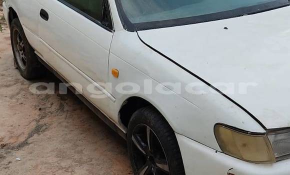 Comprar Usado Toyota Corolla Branco Carro em Caluquembe em Huila Comprar Usado Toyota Corolla Branco Carro em Caluquembe em Huila