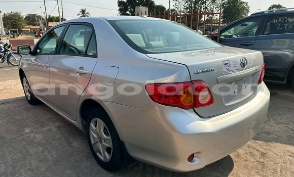 Acheter Occasion Voiture Toyota Corolla Gris à Luanda, Province de Luanda Acheter Occasion Voiture Toyota Corolla Gris à Luanda, Province de Luanda