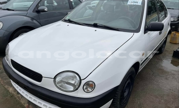 Buy Used Toyota Corolla White Car in Luanda in Luanda Province Buy Used Toyota Corolla White Car in Luanda in Luanda Province