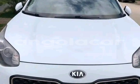 Comprar Usado Kia Sportage Branco Carro em Luanda em Luanda Province Comprar Usado Kia Sportage Branco Carro em Luanda em Luanda Province
