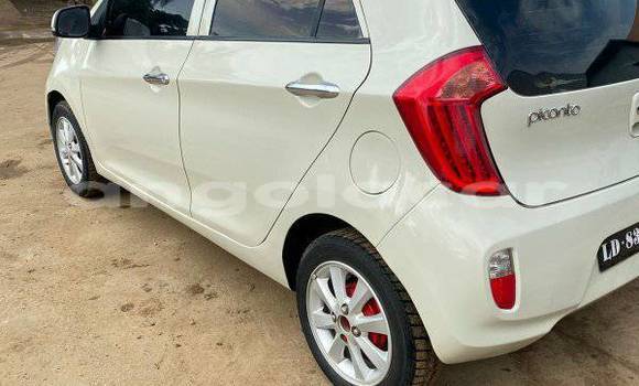 Comprar Usado Kia Picanto Outro Carro em Camabatela em Uige Comprar Usado Kia Picanto Outro Carro em Camabatela em Uige