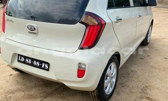 Comprar Usado Kia Picanto Outro Carro em Camabatela em Uige Comprar Usado Kia Picanto Outro Carro em Camabatela em Uige