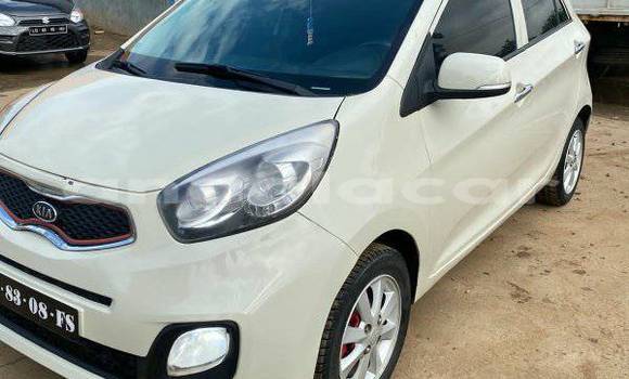Comprar Usado Kia Picanto Outro Carro em Camabatela em Uige Comprar Usado Kia Picanto Outro Carro em Camabatela em Uige