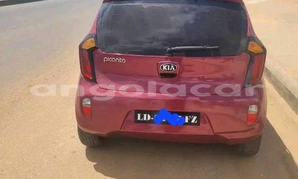 Comprar Usado Kia Picanto Vermelho Carro em Caconda em Huila Comprar Usado Kia Picanto Vermelho Carro em Caconda em Huila