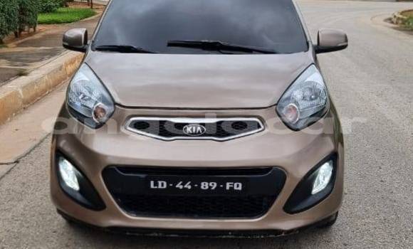 Buy Used Kia Picanto Other Car in Caluquembe in Huila Buy Used Kia Picanto Other Car in Caluquembe in Huila