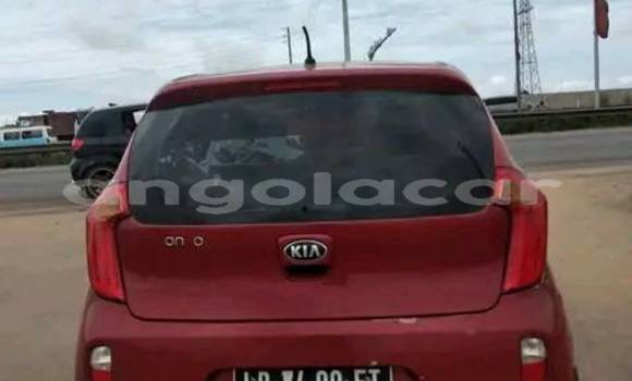 Buy Used Kia Picanto Red Car in Camabatela in Uige Buy Used Kia Picanto Red Car in Camabatela in Uige