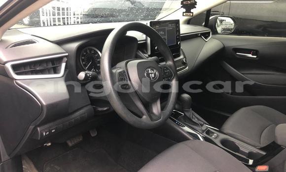 Buy Used Toyota Camry Other Car in Luanda in Luanda Province Buy Used Toyota Camry Other Car in Luanda in Luanda Province