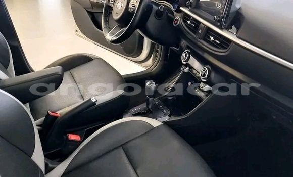 Comprar Usado Kia Picanto Outro Carro em Luanda em Luanda Province Comprar Usado Kia Picanto Outro Carro em Luanda em Luanda Province