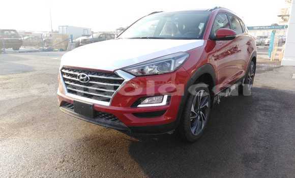 Buy New Hyundai Tucson Red Car in Luanda in Luanda Province Buy New Hyundai Tucson Red Car in Luanda in Luanda Province