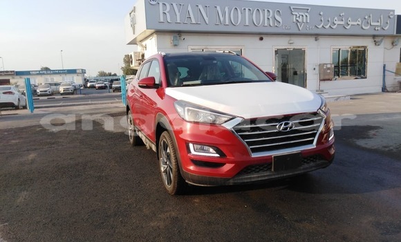 Buy New Hyundai Tucson Red Car in Luanda in Luanda Province Buy New Hyundai Tucson Red Car in Luanda in Luanda Province
