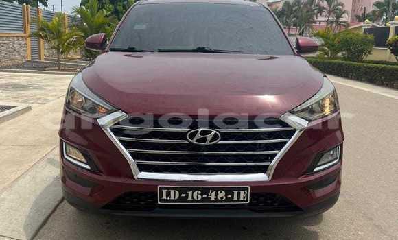 Buy Used Hyundai Tucson Red Car in Caconda in Huila Buy Used Hyundai Tucson Red Car in Caconda in Huila