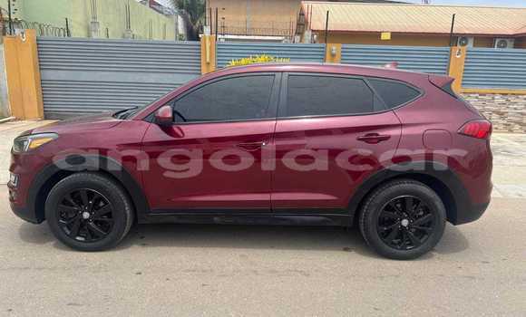 Buy Used Hyundai Tucson Red Car in Caconda in Huila Buy Used Hyundai Tucson Red Car in Caconda in Huila
