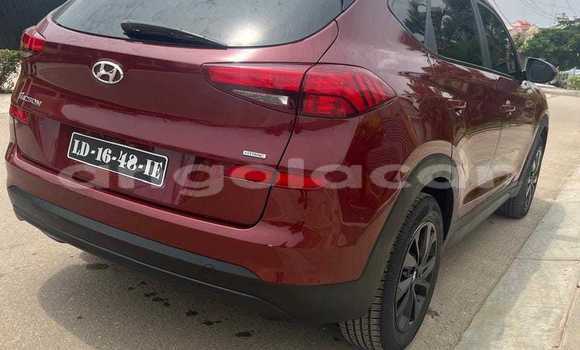 Buy Used Hyundai Tucson Red Car in Caconda in Huila Buy Used Hyundai Tucson Red Car in Caconda in Huila